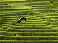 Beauty of Vietnam as seen through the lens of a French photographer